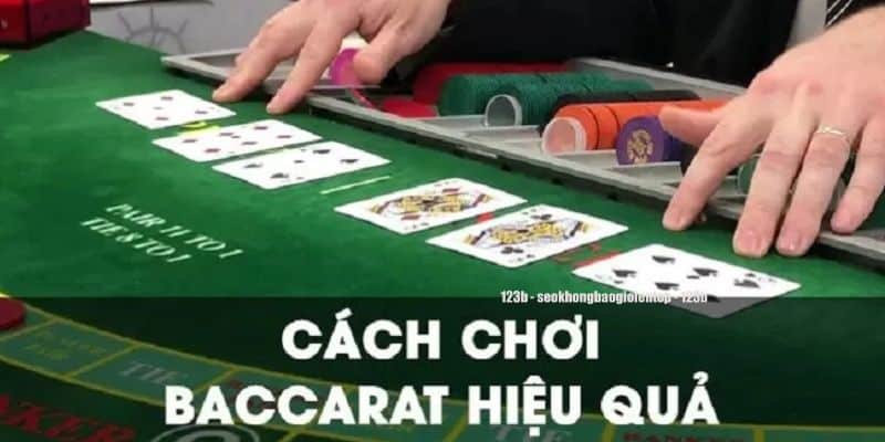 Cách đặt cược để nắm chắc phần thắng Baccarat là gì?