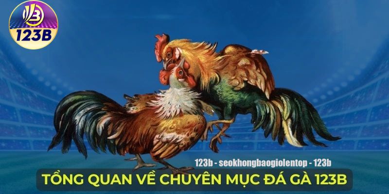 Tổng quan về sảnh đá gà 123B